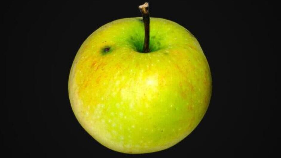 Eat: The Revolution screenshot 1