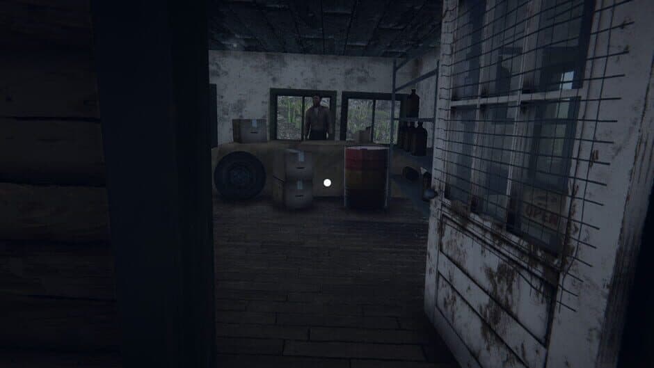 Border Officer screenshot 4