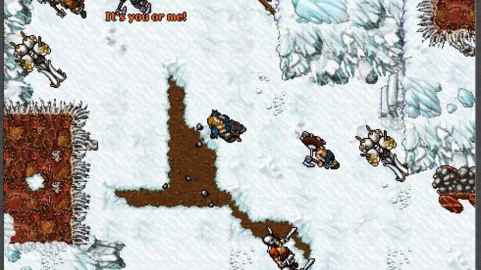 Tibia screenshot 5