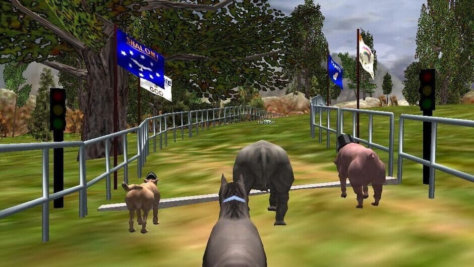 The Zoo Race screenshot 1