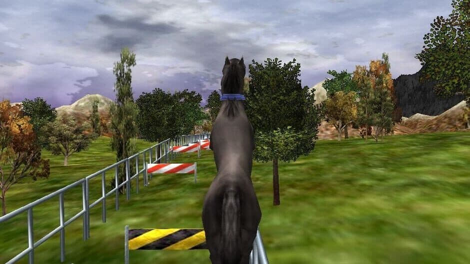 The Zoo Race screenshot 3