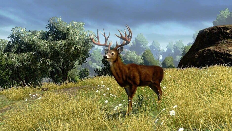Cabela's Outdoor Adventures screenshot 2