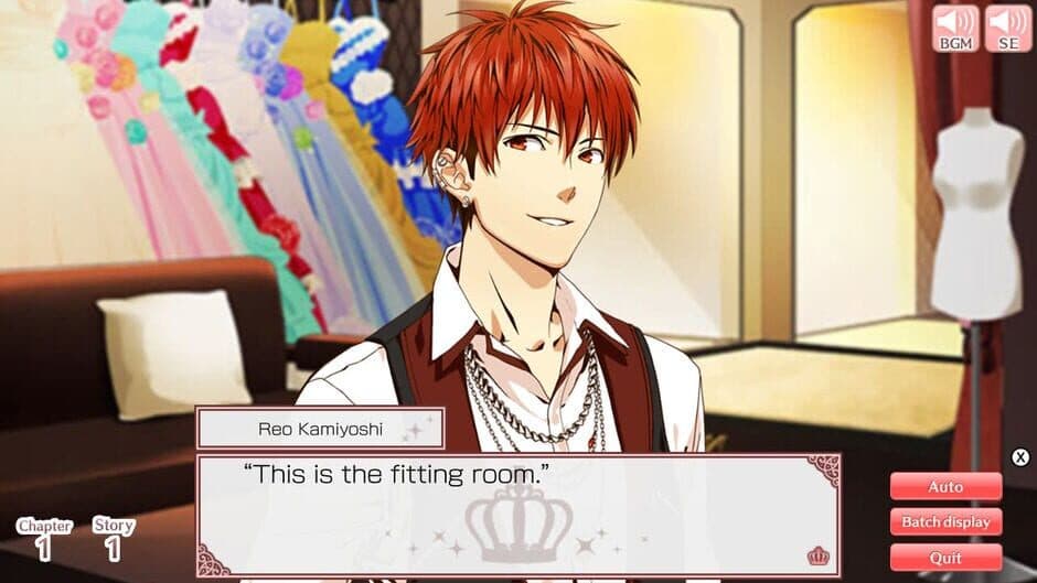 Princess Closet screenshot 3