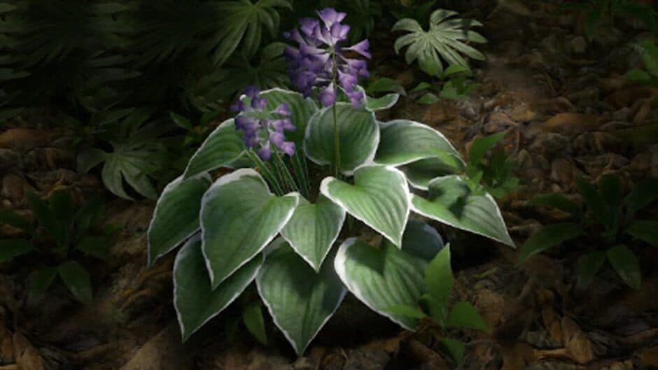 Green Hell VR screenshot 1