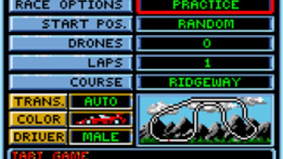 Checkered Flag screenshot 1