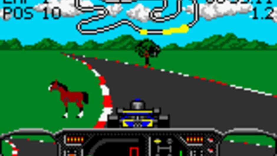 Checkered Flag screenshot 4