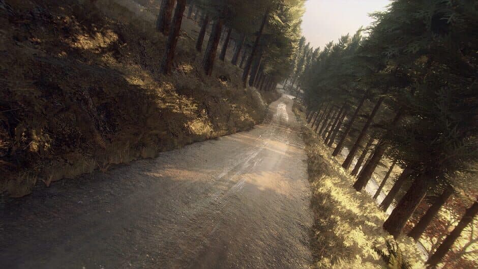 Dirt Rally 2.0: Colin McRae - Flat Out Pack screenshot 3