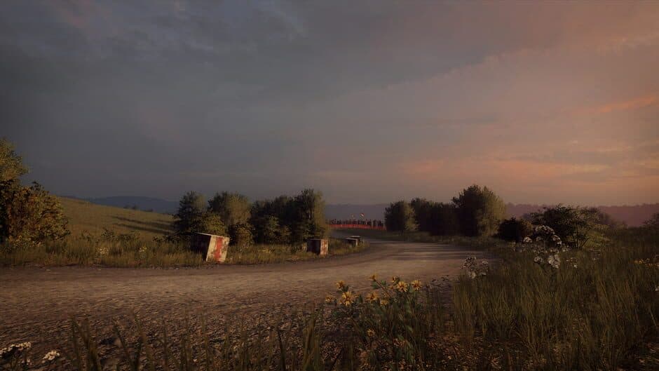 DiRT Rally 2.0: Germany (Rally Location) screenshot 3