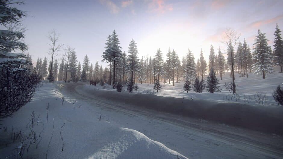 DiRT Rally 2.0: Sweden (Rally Location) screenshot 2