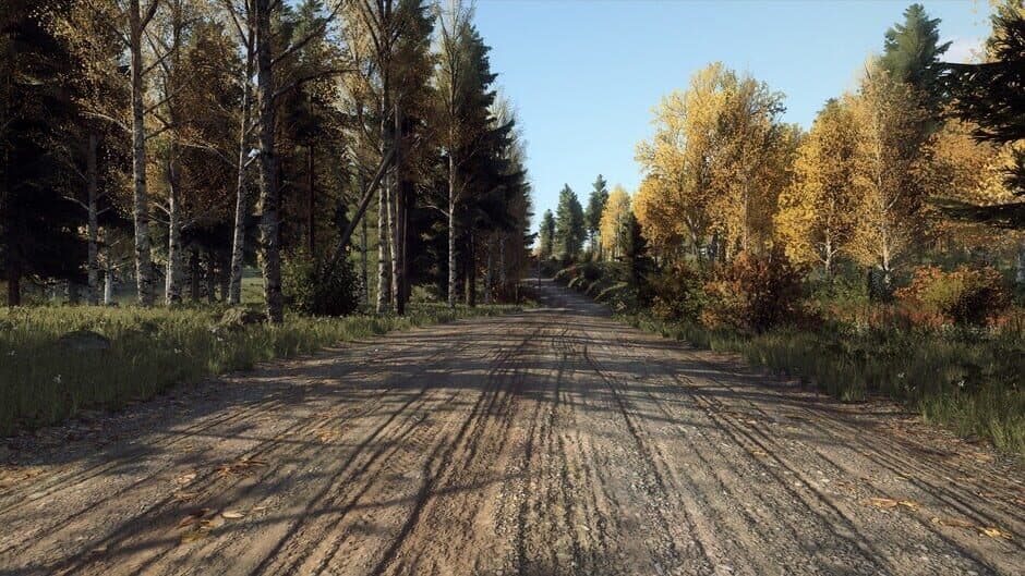 DiRT Rally 2.0: Finland (Rally Location) screenshot 3