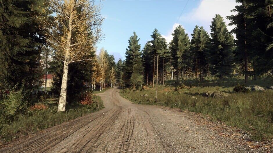 DiRT Rally 2.0: Finland (Rally Location) screenshot 5