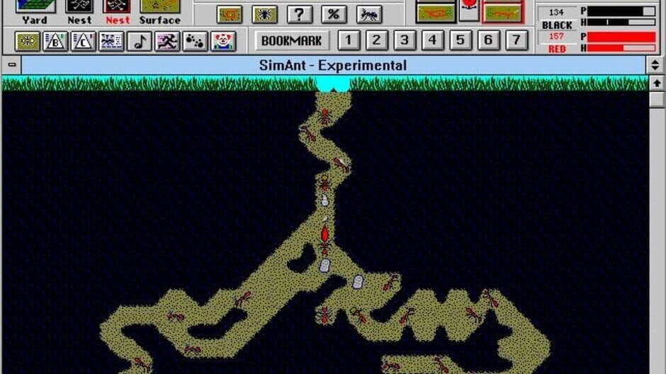 SimAnt screenshot 3