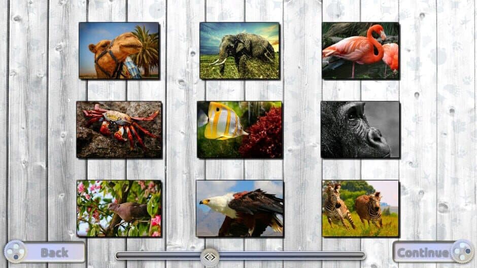 Jigsaw Fun: Amazing Animals screenshot 5