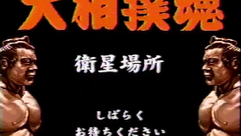 Takara-hai Oozumou Eisei Basho screenshot 2