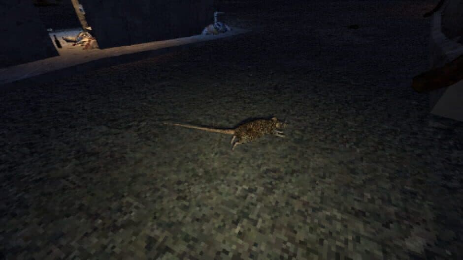 Neyasnoe screenshot 5