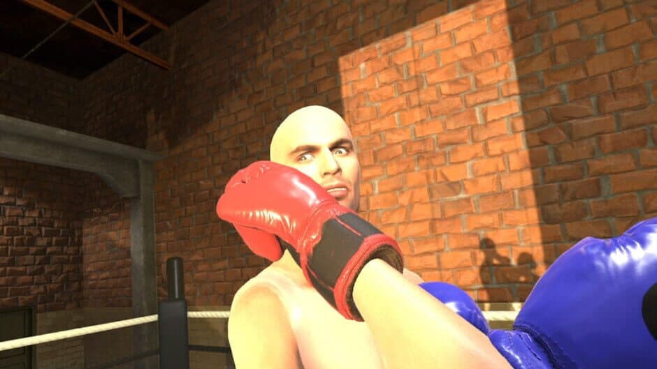 Era of Combat: Boxing screenshot 1