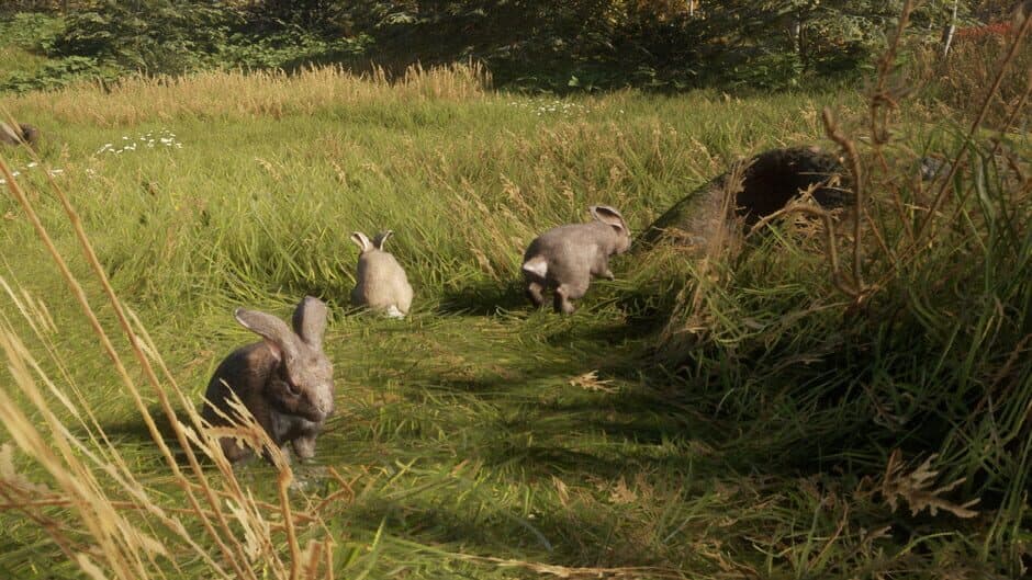 TheHunter: Call of the Wild - Free Species: European Rabbit screenshot 1