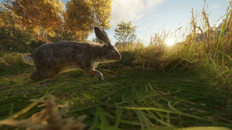 TheHunter: Call of the Wild - Free Species: European Rabbit screenshot 2