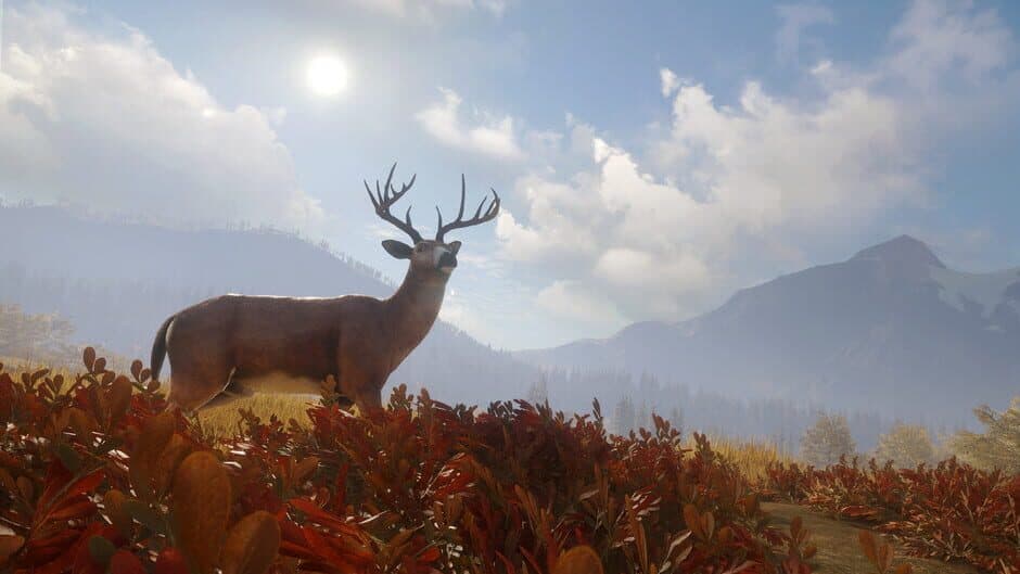 TheHunter: Call of the Wild - TruRACS screenshot 2