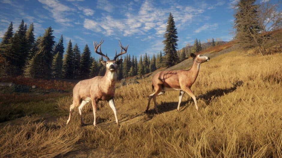 TheHunter: Call of the Wild - TruRACS screenshot 1