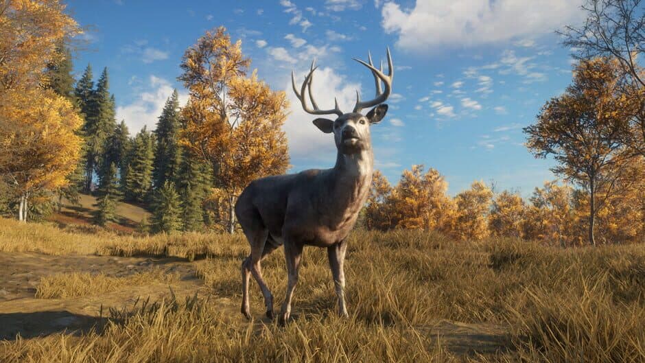 TheHunter: Call of the Wild - TruRACS screenshot 5