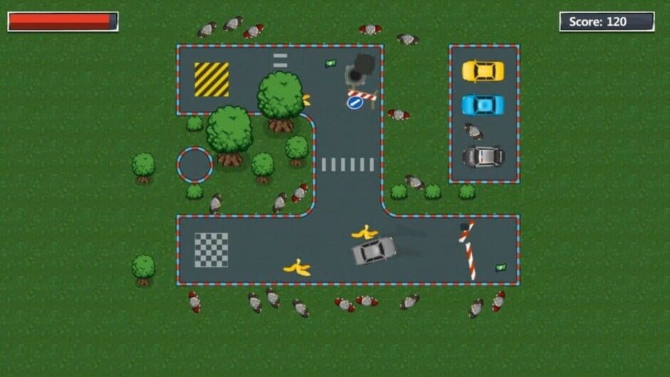 Inexperienced Driver screenshot 3