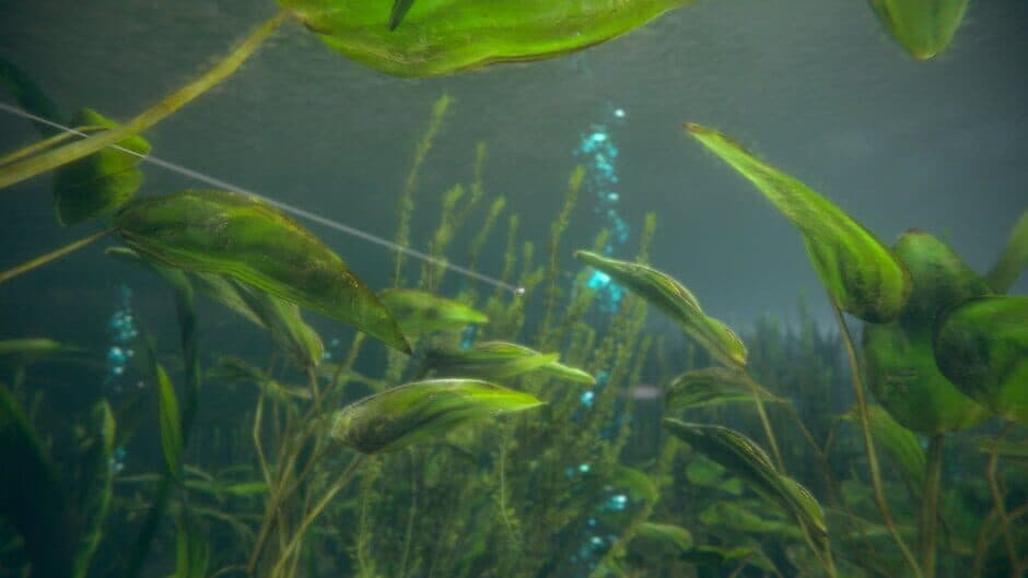 Ultimate Fishing Simulator 2 screenshot 6