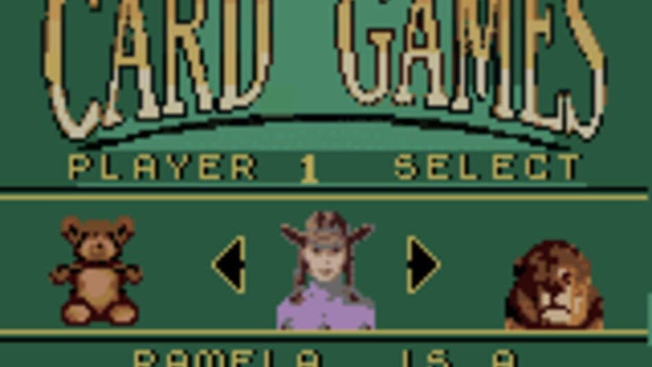 Hoyle Card Games screenshot 2