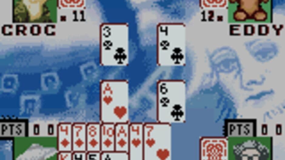 Hoyle Card Games screenshot 5