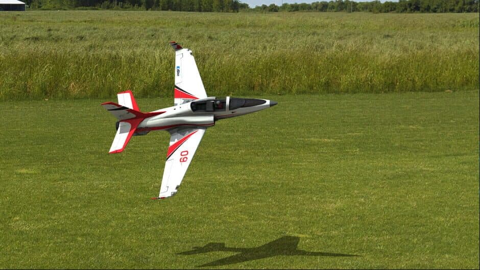 RealFlight Evolution screenshot 3