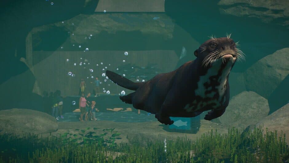 Planet Zoo: Aquatic Pack screenshot 5