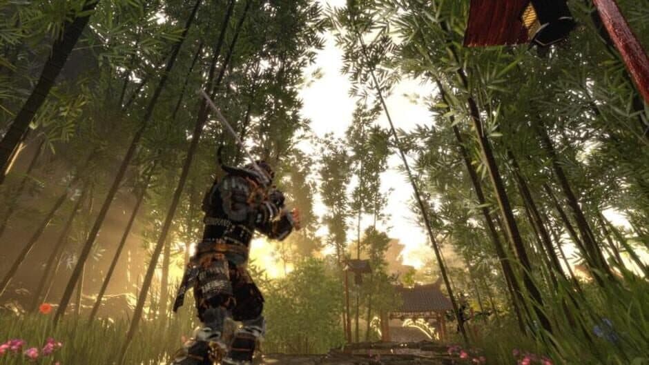 Shadow the Ronin: The Revenge to the Samurai screenshot 1