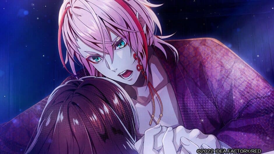 Birushana Senki: Ichijuu no Kaze screenshot 3