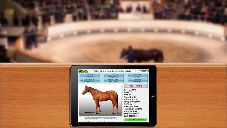 Day at the Races screenshot 2