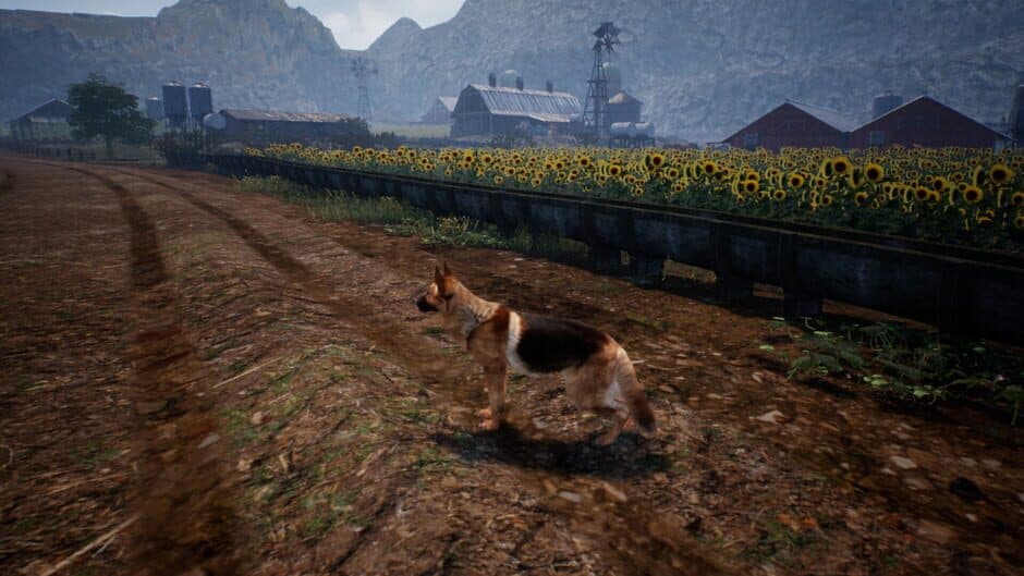 Shepherd Dog screenshot 4