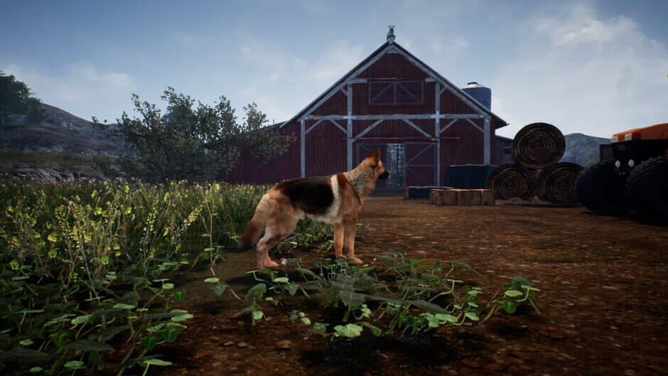 Shepherd Dog screenshot 5