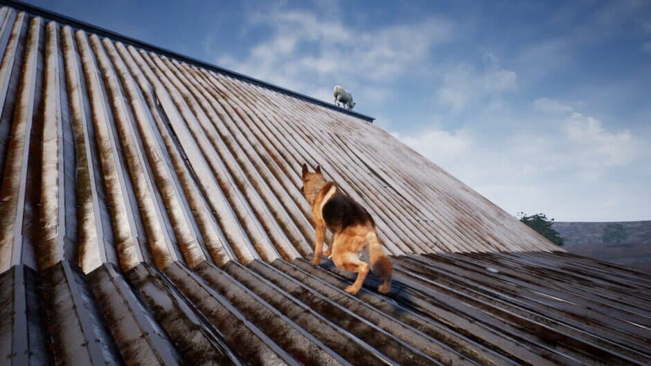 Shepherd Dog screenshot 6