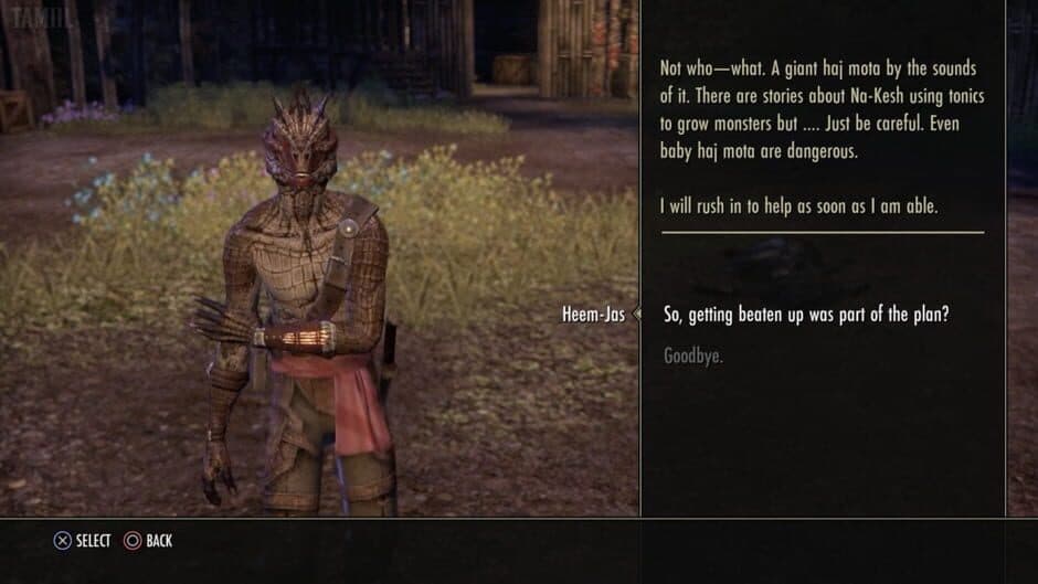 The Elder Scrolls Online: Shadows of the Hist screenshot 2