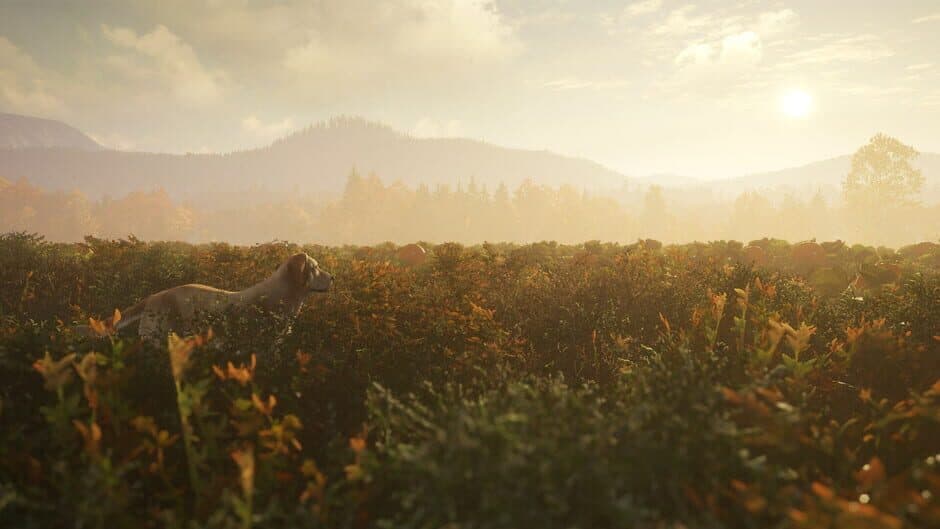 TheHunter: Call of the Wild - Labrador Retriever screenshot 2