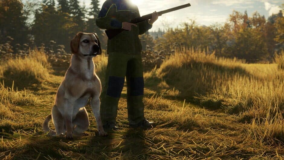 TheHunter: Call of the Wild - Labrador Retriever screenshot 4