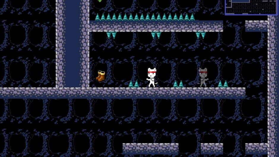 Nine Lives Ninja: Explore! screenshot 3