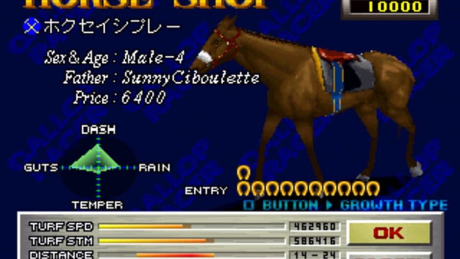 Gallop Racer screenshot 4