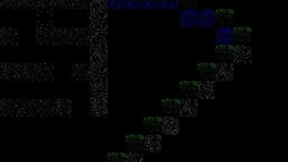 Stardust screenshot 2