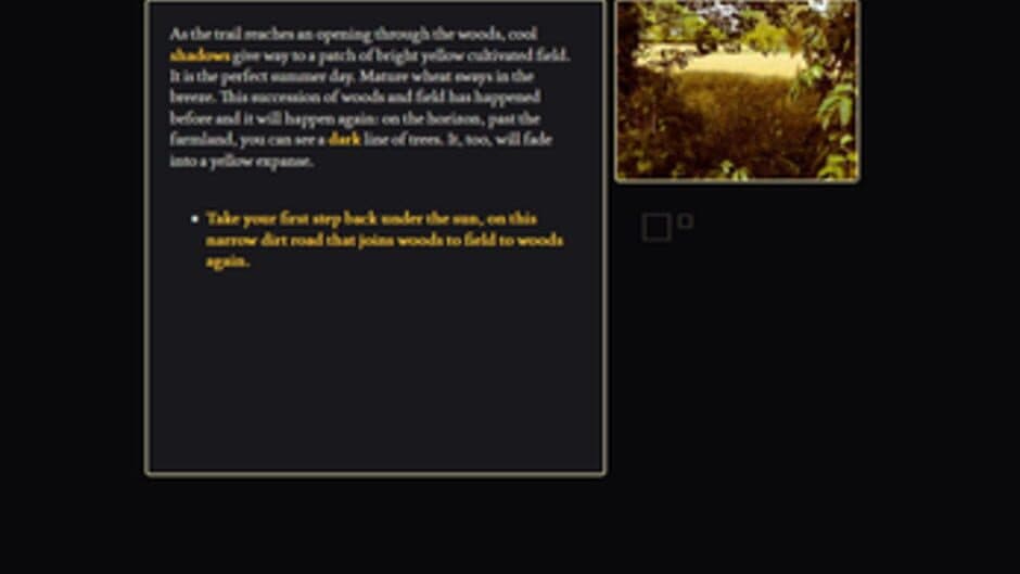 This is a Black Parallelepipedon in a Yellow Field screenshot 1