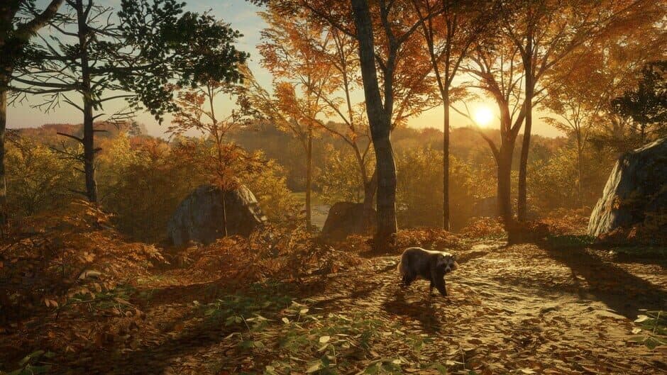 TheHunter: Call of the Wild - Salzwiesen Park screenshot 4