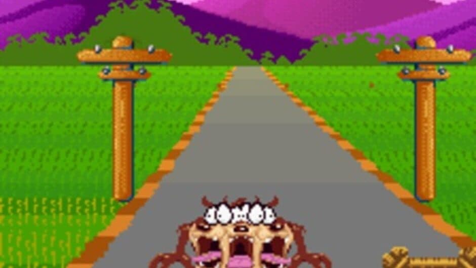 Taz-Mania screenshot 2