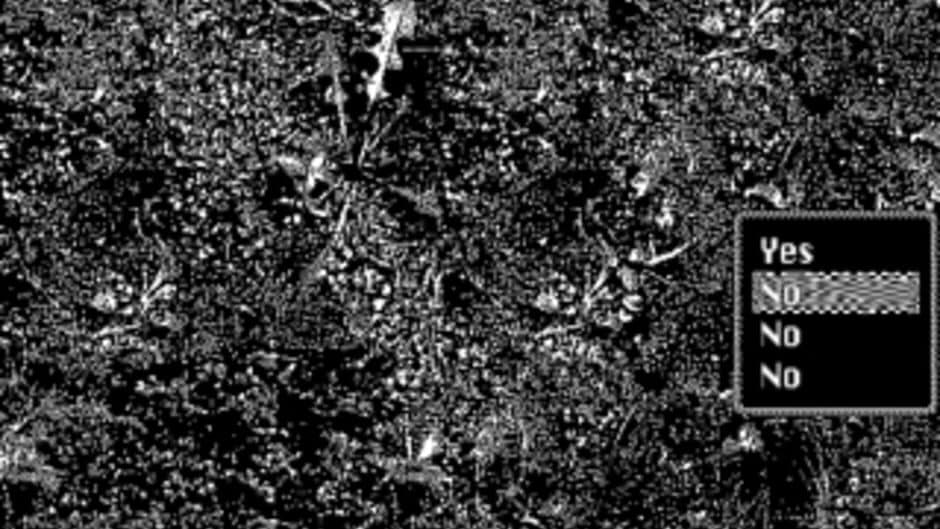 Perfect Hegemony screenshot 2