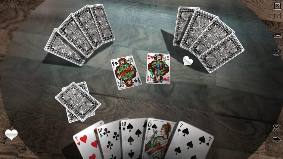 Skat 3D Premium screenshot 2