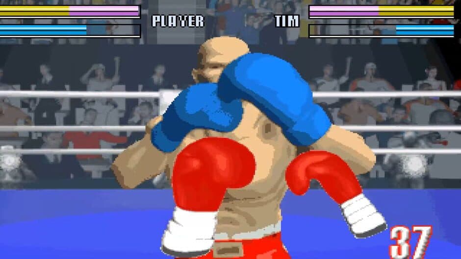 Virtual Boxing screenshot 1