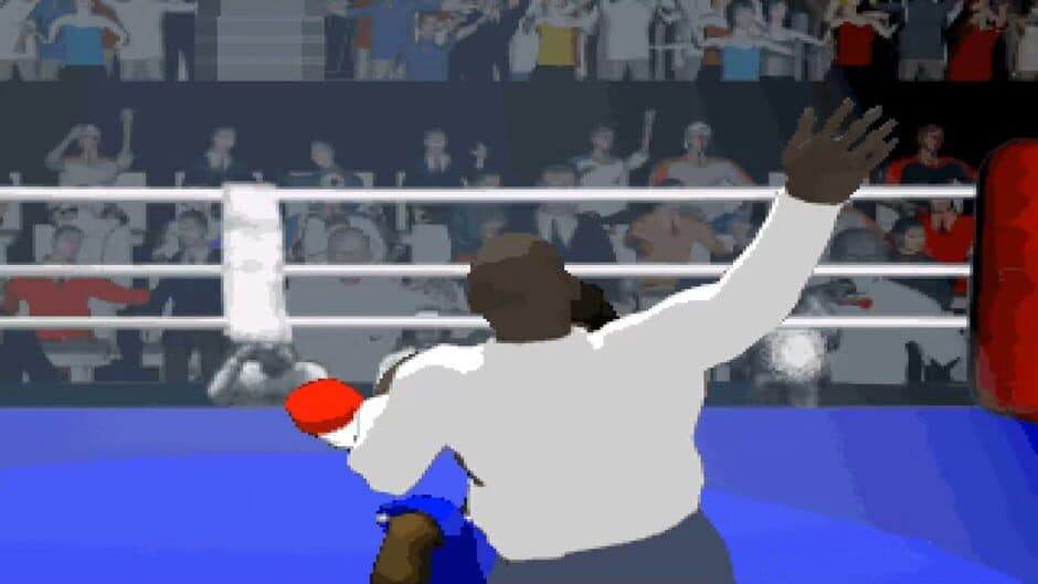Virtual Boxing screenshot 3